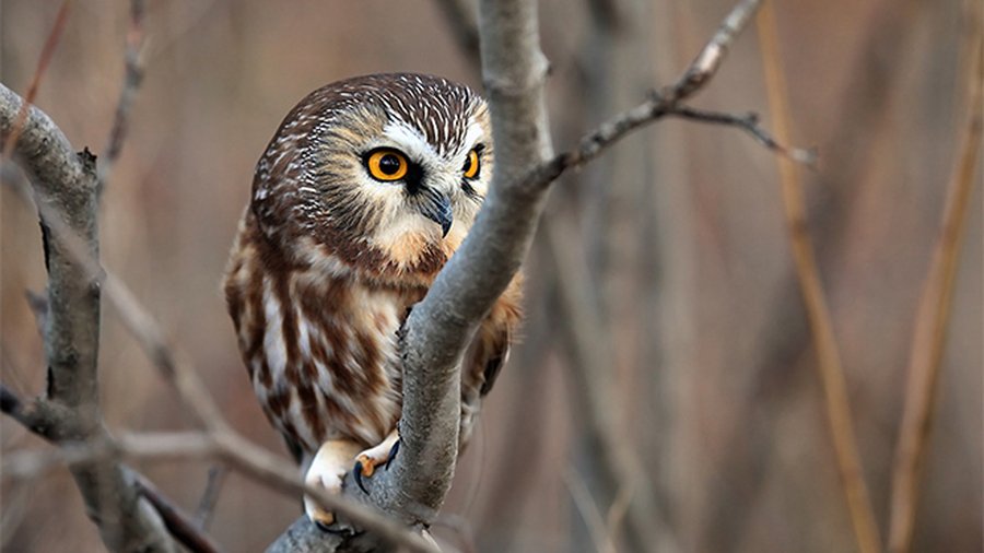 Weekend itineraries: get outdoors