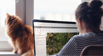 Woman using mapping tool on laptop by the window, cat in background.
