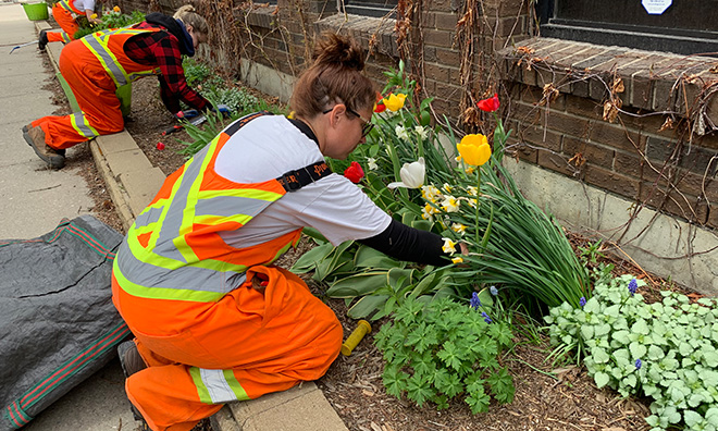 Employees caring for a garden