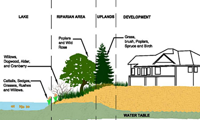 PDS-MEDIUM-lake-shore-development-section-660x396.png