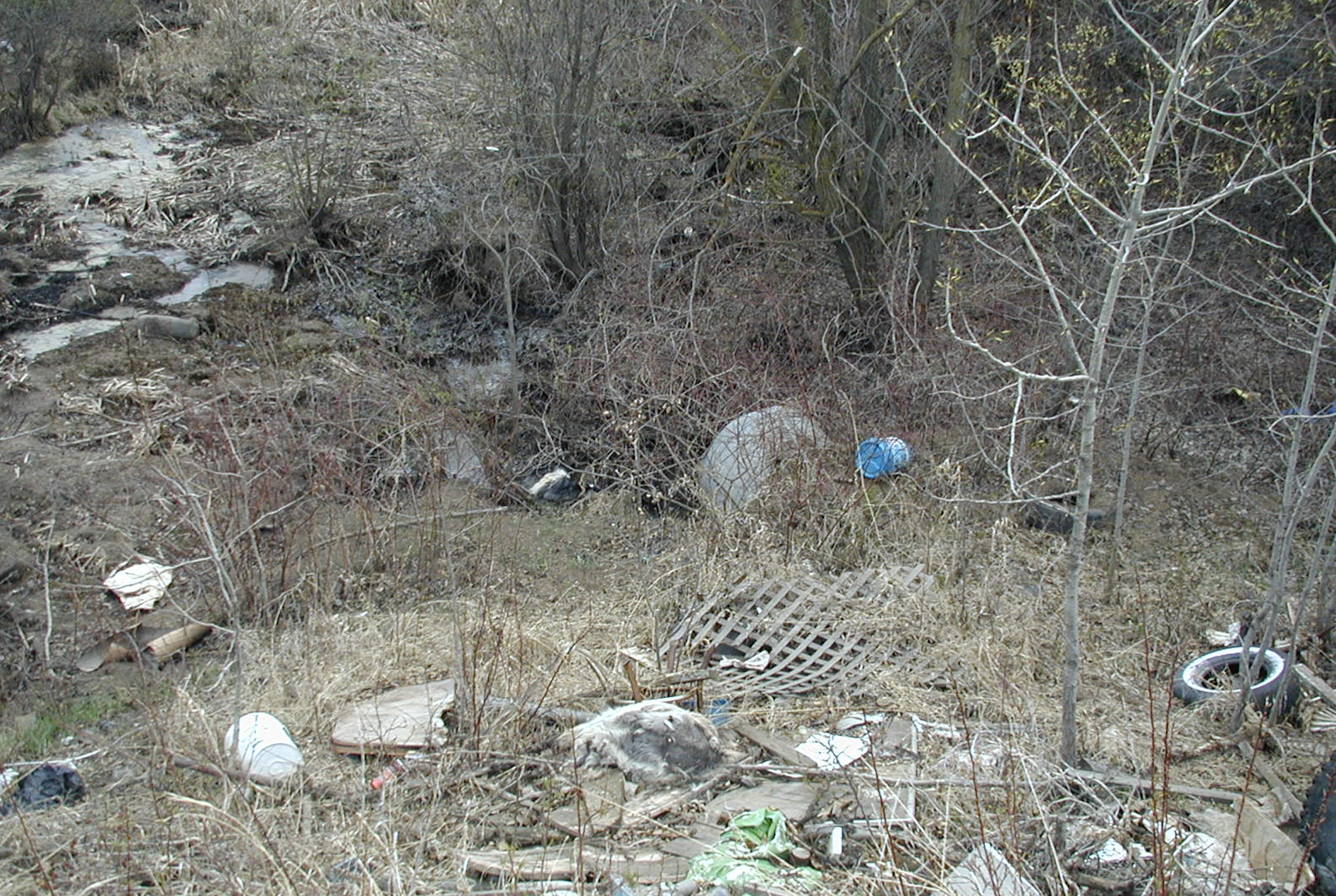 environment and conservation garbage stormwater