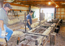 Prochnau sawmill