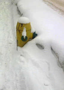 Fire hydrant with snow covered
