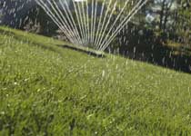 ph-UT-sprinkler-210x150.jpg