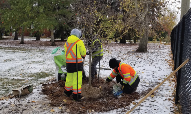 Smeltzer House centennial anniversary commemorated with tree planting