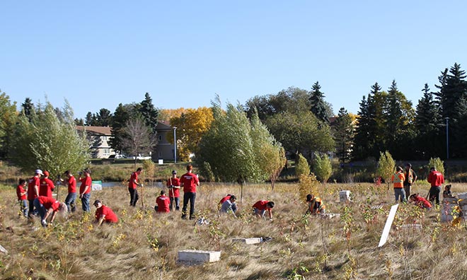 Volunteers planting trees