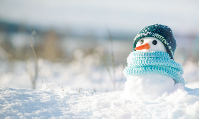 Winter Fun Brochure