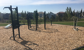 Fitness equipment at Ball Lake Park