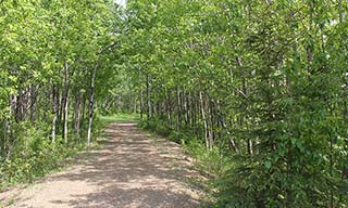Parks trail