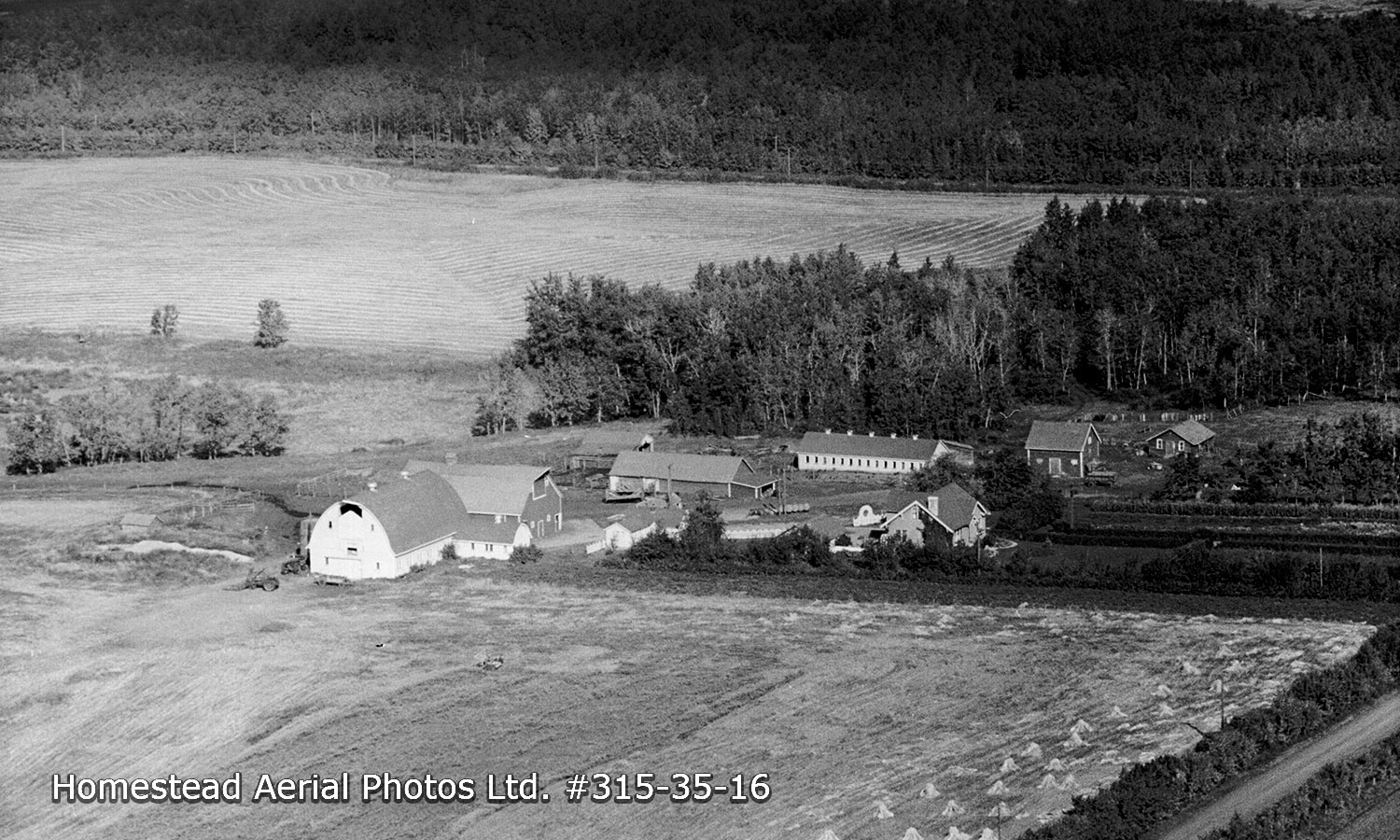 Smyth farm