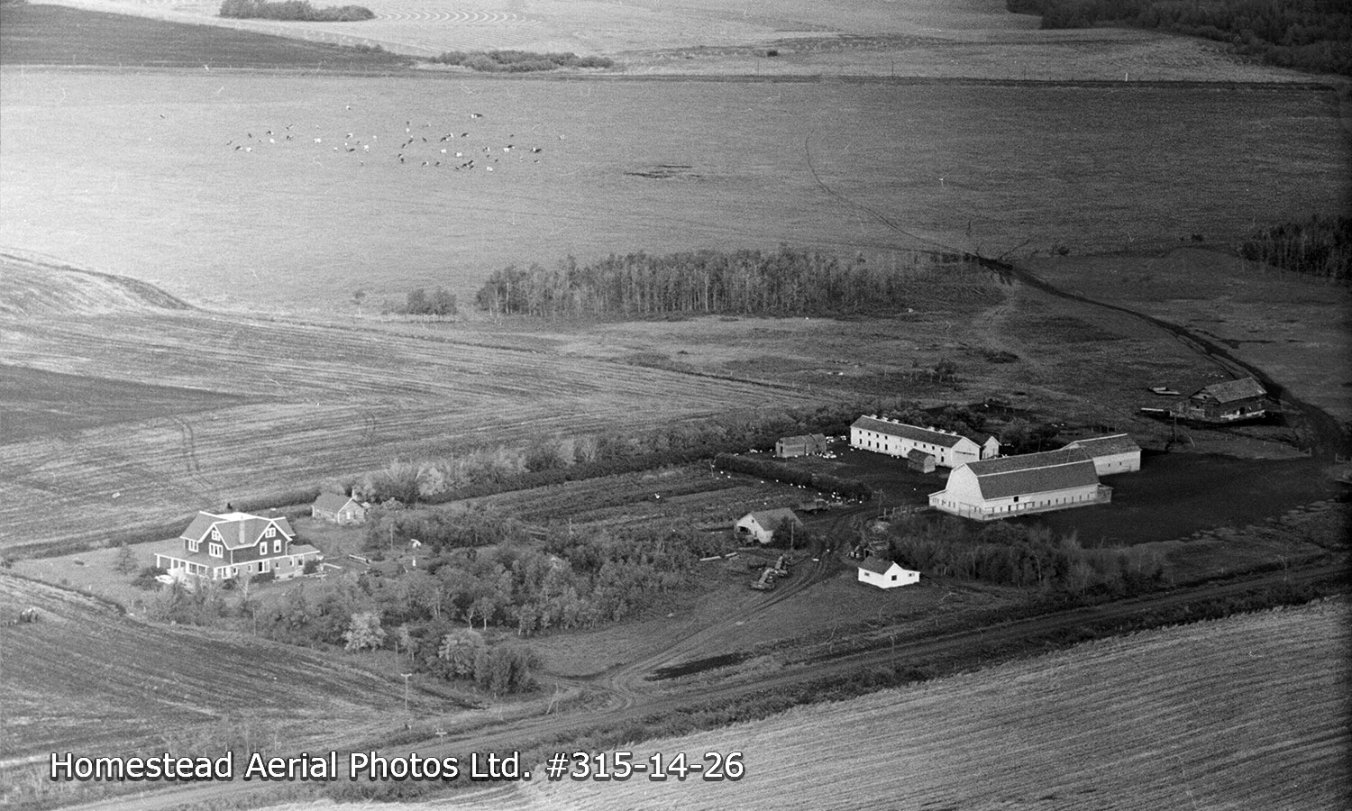 Bremner homestead - Schroter farm