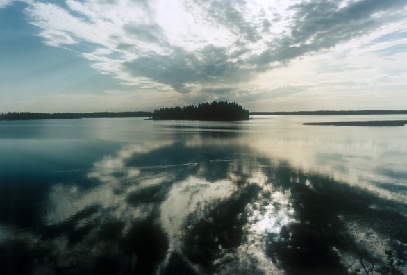'Reflections' by Gerald Martz