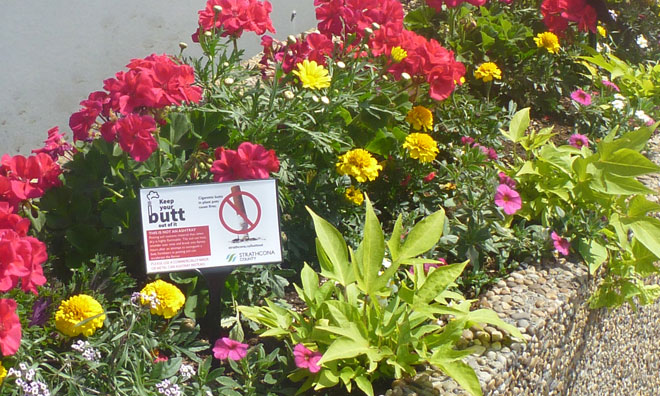 Plant pots are not ashtrays Plant pot displaying sign: plant pots are not ashtrays
