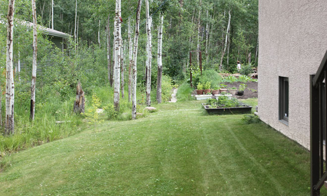FireSmart your property to protect from wildfire