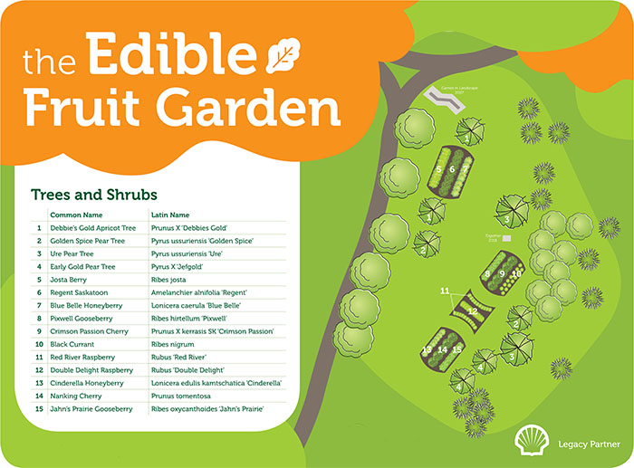 An illustrated map of an edible fruit garden.