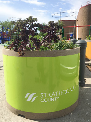 Green planter filled with kale, Kinsmen Leisure Centre in the background