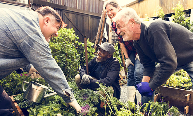 Group of gardeners in community garden