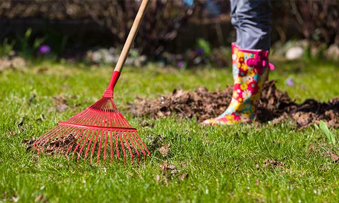 Garden cleaning wearing flowery rubber boots.