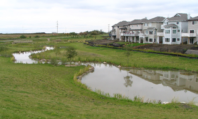 Summerwood storm management facility with new housing development in the background.