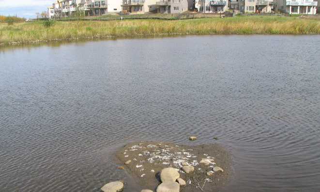 Summerwood stormwater pond.