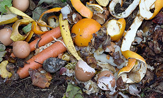 Image of a pile of organics materials such as vegetables and egg shells.