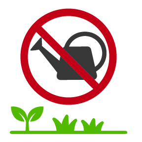Pause Watering